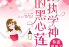 求偏执学神的黑心莲称霸世界了小说免费资源-贝壳文学