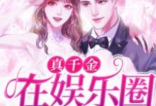苏藤陆凛小说在哪里可以看-贝壳文学