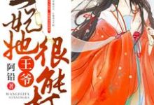 王爷，王妃她很能打小说有没有完结版在线？-贝壳文学