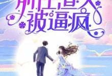 考大学，嫁小叔，前任渣夫被逼疯这本小说完结了吗？免费查看最新章节-贝壳文学