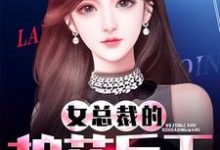 女总裁的护花兵王小说完结版章节免费阅读-贝壳文学