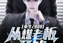 重生2000：从煤老板开始小说完结了吗？在哪里可以免费读到？-贝壳文学