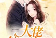纪小小顾泽明安如玉的完整故事在哪里？读大佬偏要宠我小说-贝壳文学