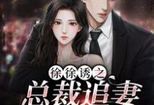 主人公叫甜曦墨景霄的小说哪里免费看-贝壳文学