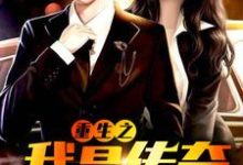 重生之我是传奇免费阅读,重生之我是传奇章节在线阅读-贝壳文学