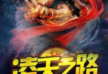 柳铭诸葛芷若是哪本书的主角?寻找凌天之路免费阅读-贝壳文学