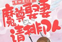 魔尊,娶妻请排队小说,魔尊,娶妻请排队苏小蛮穆沐-贝壳文学