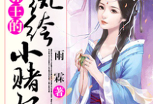 完结版《邪王的纨绔小赌妃》章节阅读-贝壳文学