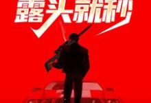 佣兵系统：小鬼国露头就秒小说的所有章节都能在哪里免费读到？-贝壳文学