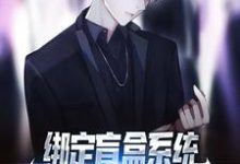 苏辰林可儿是哪本书的主角?绑定盲盒系统,穷屌丝也能变首富免费读-贝壳文学