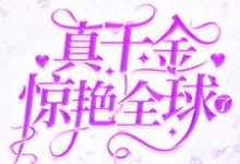 《真千金惊艳全球了》小说主角盛繁依秦渊章节章节免费在线阅读-贝壳文学