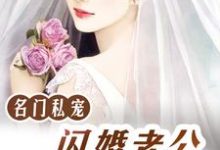 已完结小说《名门私宠：闪婚老公好霸道》在线章节阅读-贝壳文学