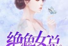 任天丁君儿的故事在哪本书里?免费阅读绝色女总裁的全能保镖-贝壳文学