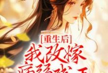 《重生后，我改嫁病弱残王扶他上位》小说大结局免费试读 慕容珩沈若惜小说-贝壳文学