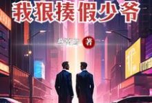 为了断绝关系，我狠揍假少爷叶沐小说大结局免费试读-贝壳文学