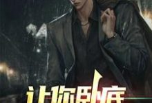 主人公叫苏晨的小说让你卧底，没让你当老大在线阅读章节-贝壳文学