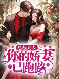 叶展眉言止安若瑜南瑾的故事在哪本书里？免费阅读总裁大人，你的娇妻已跑路