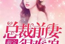 哪里能找到萌娃归来：总裁前妻很难追小说的全部章节？-贝壳文学