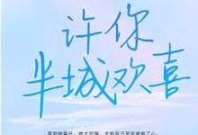 苏念叶殊城小说在哪里可以看-贝壳文学