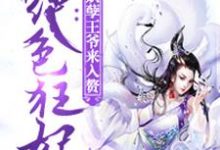 绝色狂妃这本小说怎么样？免费在线阅读试试-贝壳文学