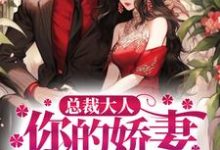 主角叫叶展眉言止安若瑜南瑾小说总裁大人，你的娇妻已跑路章节免费阅读-贝壳文学