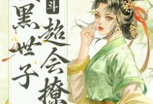 完结版《宫斗：腹黑世子超会撩》章节阅读-贝壳文学