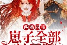 小说《两胎四宝，崽子全部是反派》章节免费阅读-贝壳文学