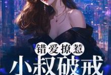 错爱撩惹：小叔破戒缠宠我小说，错爱撩惹：小叔破戒缠宠我男主角时宴女主角南乔-贝壳文学