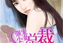 《宠妻无度》小说章节列表免费试读，夏颂恩薄言刘剑南小说在线阅读-贝壳文学