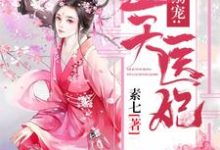 免费阅读凰浅帝北爵为主角的小说,邪君溺宠:逆天医妃在线看-贝壳文学
