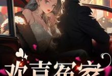欢喜冤家章节免费在线阅读， 唐绾宋玺完结版-贝壳文学