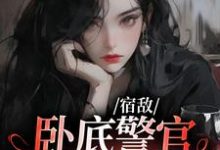 宿敌：卧底警官她过分美丽小说无弹窗阅读的网站推荐-贝壳文学