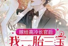 嫁给高冷长官后,我一胎三宝被团宠了沈月亮纪延川,嫁给高冷长官后,我一胎三宝被团宠了章节在线阅读-贝壳文学