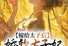 《嫁给太子后,娇软太子妃藏起尖刀》小说大结局免费试读 程婵衣小说-贝壳文学