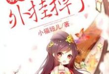 小说《娘子，你的外挂掉了》章节阅读-贝壳文学