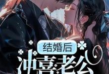 在线搜索季书韫花榆的完整小说，免费阅读结婚后，冲喜老公成教授，还死盯我！-贝壳文学