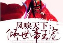 完结版《凤唳天下：倾世帝王宠》章节阅读-贝壳文学
