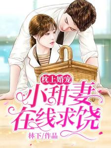 枕上婚宠：小甜妻在线求饶小说的无弹窗阅读体验，寻找免费阅读网站