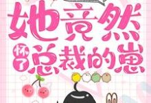 一夜情后，她竟然怀了总裁的崽叶梓晴沈少廷，一夜情后，她竟然怀了总裁的崽章节在线阅读-贝壳文学