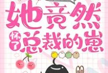 主角叶梓晴沈少廷小说一夜情后，她竟然怀了总裁的崽免费阅读-贝壳文学