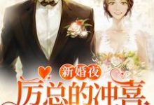 新婚夜,厉总的冲喜娇妻宠不停小说免费资源,新婚夜,厉总的冲喜娇妻宠不停在线阅读-贝壳文学
