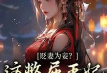贬妻为妾？这憋屈王妃我不当了小说最新更新在哪里？免费在线看-贝壳文学