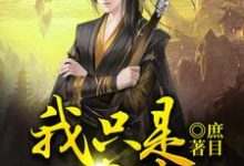小说《我只是一名侠士》在线章节阅读-贝壳文学