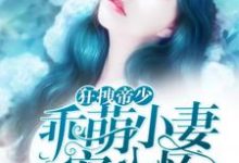 小说《狂拽帝少：乖萌小妻宠入怀》章节阅读-贝壳文学
