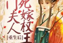 重生后，侯门夫人假死嫁权王小说有没有完整的免费版本在线阅读？-贝壳文学