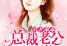 《萌妻乖乖：总裁老公好霸道》小说章节列表免费试读，全晚晚凌小安萧寒小说在线阅读-贝壳文学
