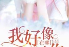 陆离景季为主角的小说我好像在哪见过你在线阅读-贝壳文学