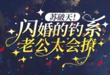 已完结小说《苏破天！闪婚的钓系老公太会撩》在线章节阅读-贝壳文学