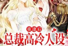 主角叫陆时安孟御小说重逢后，总裁高冷人设又立不住了章节免费阅读-贝壳文学