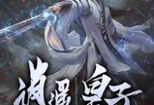 逍遥皇子苏灿喜儿齐瑾儿,逍遥皇子章节在线阅读-贝壳文学